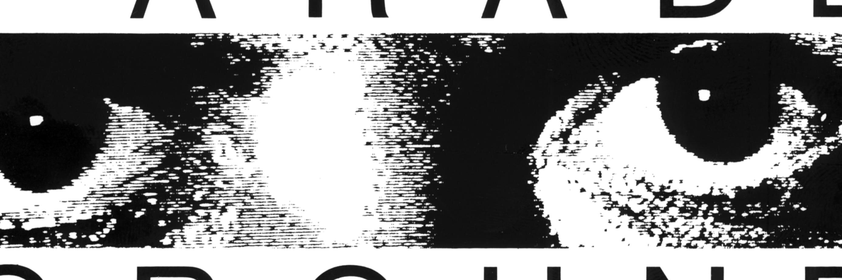 Beaparade's profile banner image