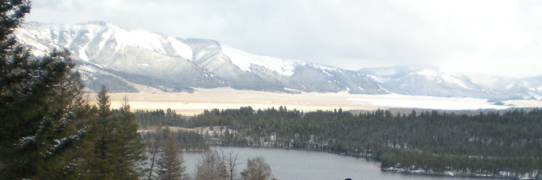 mhnoland's profile banner image