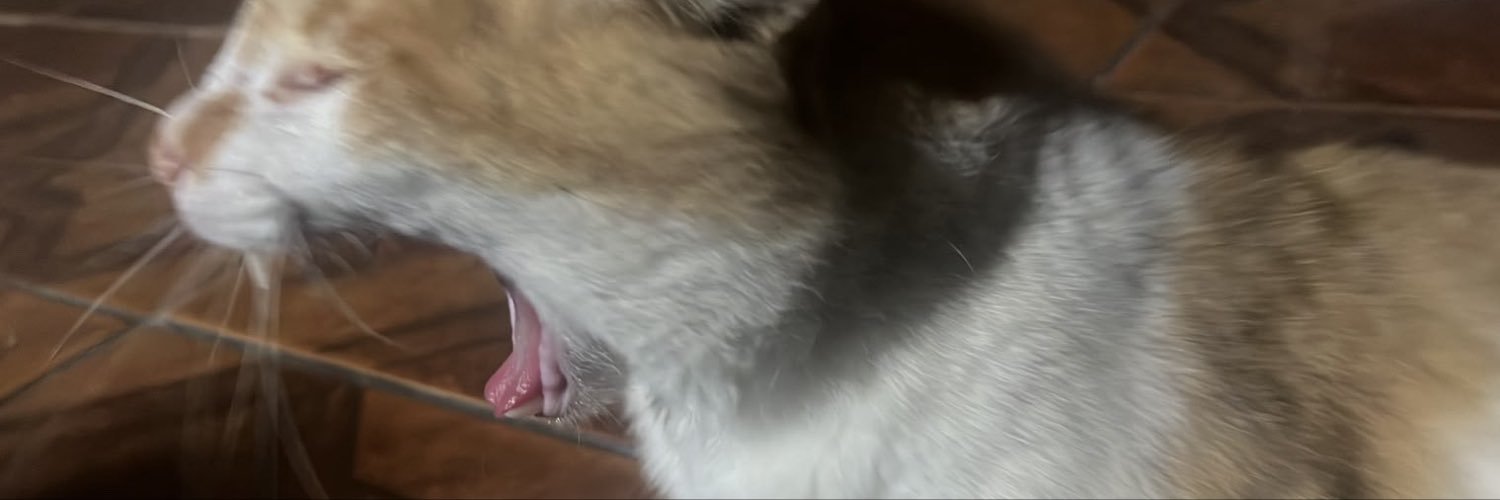 bandradexd's profile banner image