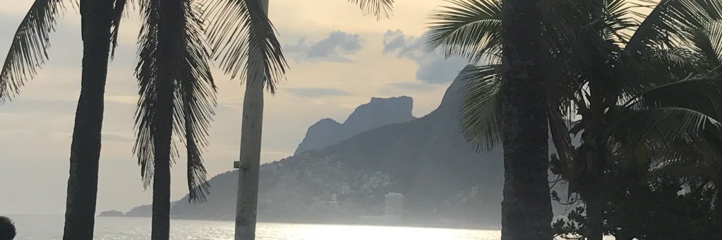 paracetaloco's profile banner image