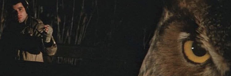 JohnBattleSword's profile banner image