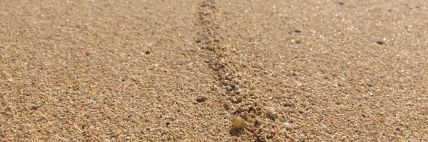 willrios7 Profile Banner