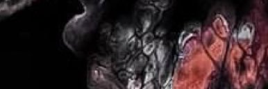 GarbinCaio's profile banner image