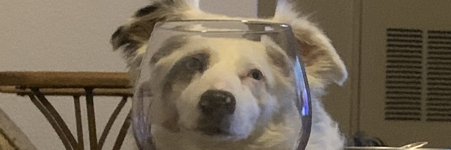 jaimijames10's profile banner image