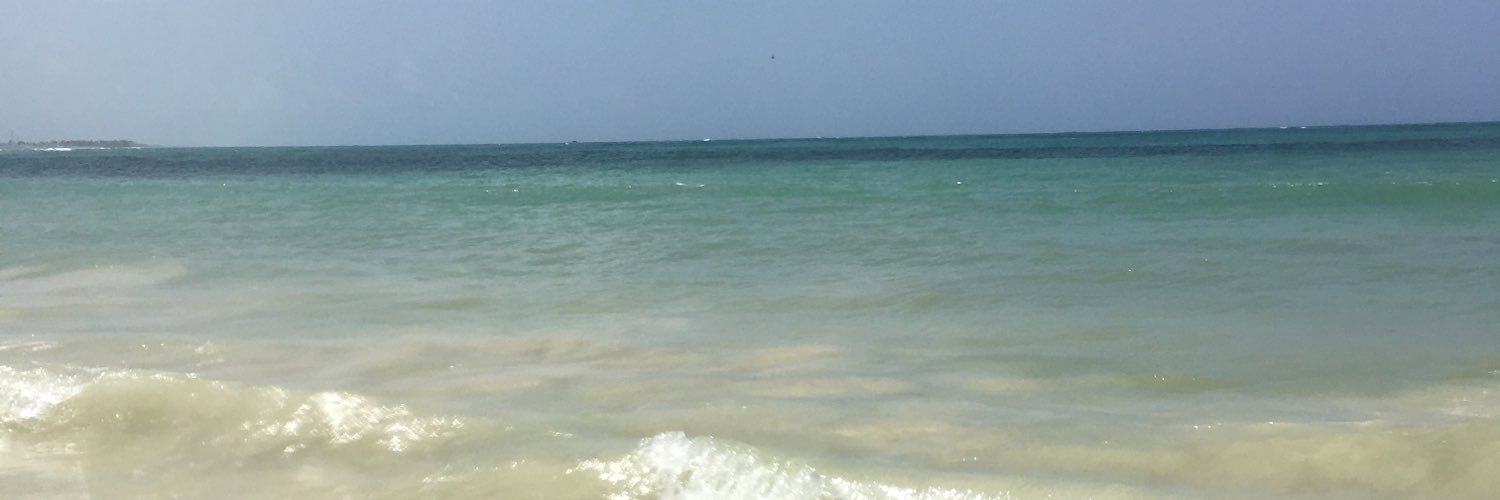 kim_TweeterMan's profile banner image