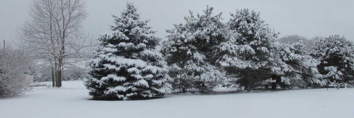 OGmrlodge's profile banner image