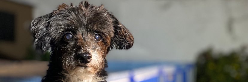 Gomez_Caami's profile banner image
