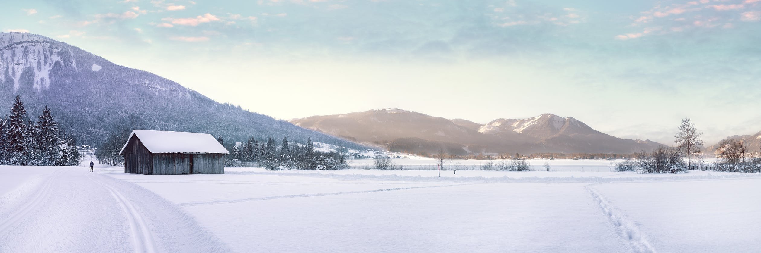 dianemc25's profile banner image