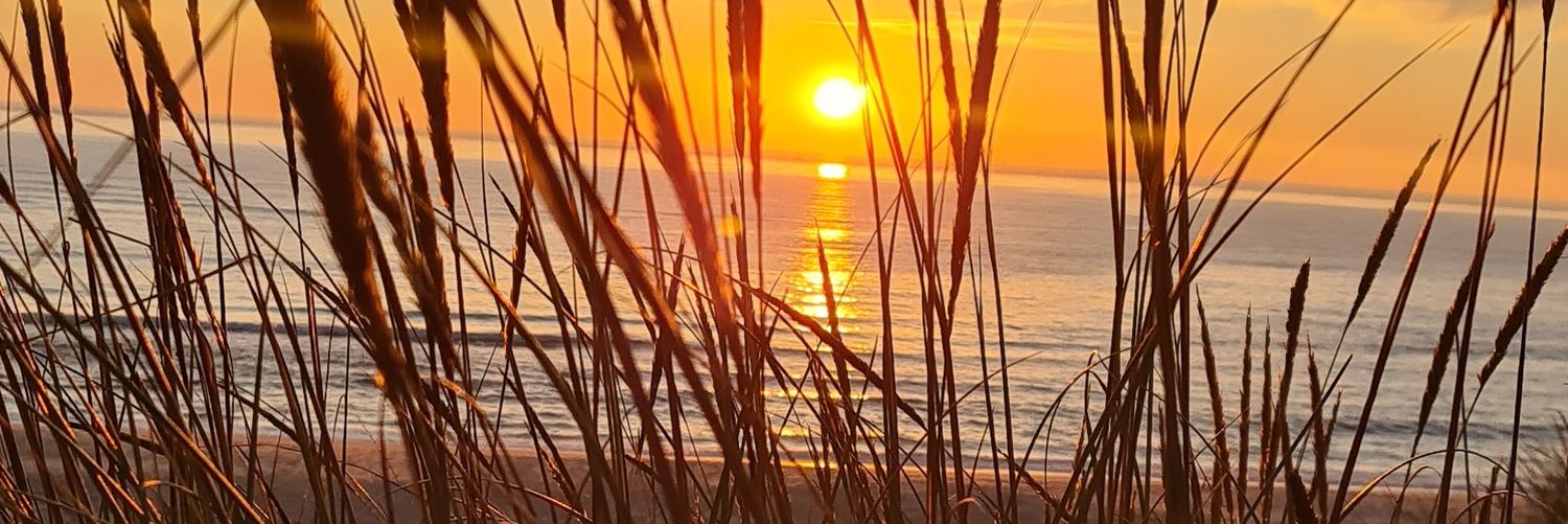 sydneyneto's profile banner image