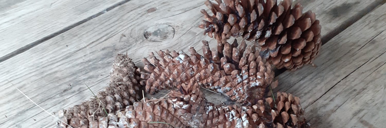 AlvaroCortinaT's profile banner image