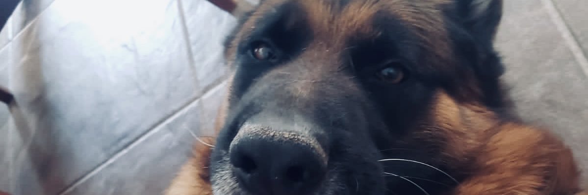 MateoGonzalez77's profile banner image