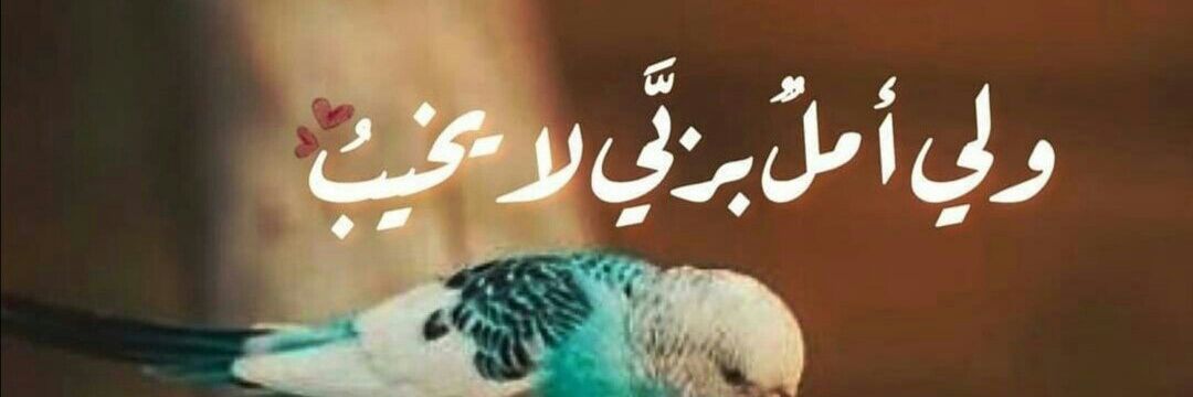 aser5739's profile banner image