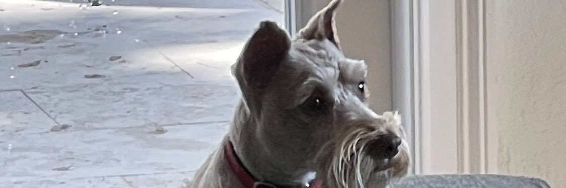jalfonso42's profile banner image
