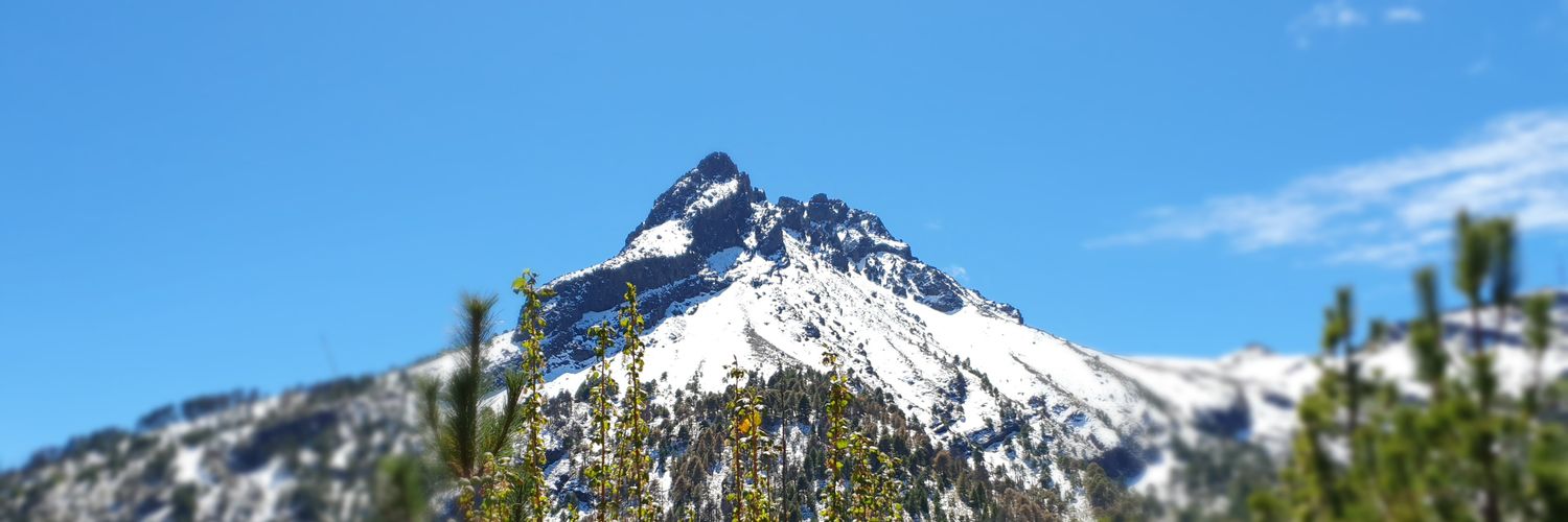 camposmjorge's profile banner image