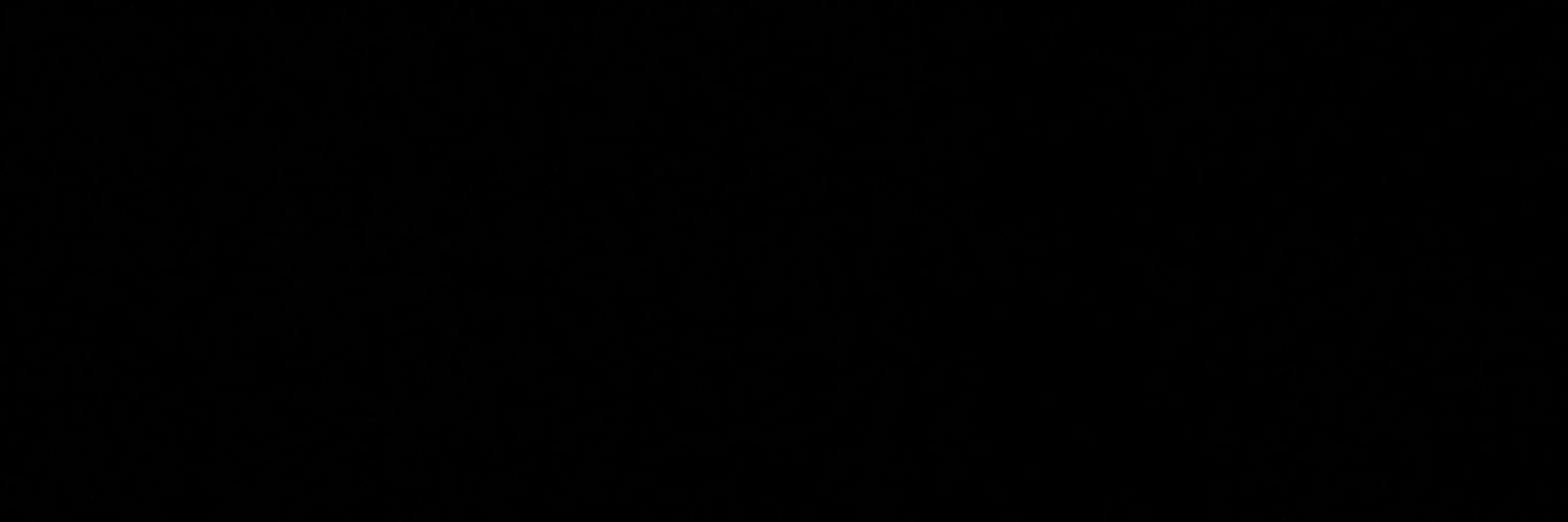 lilbordenn's profile banner image