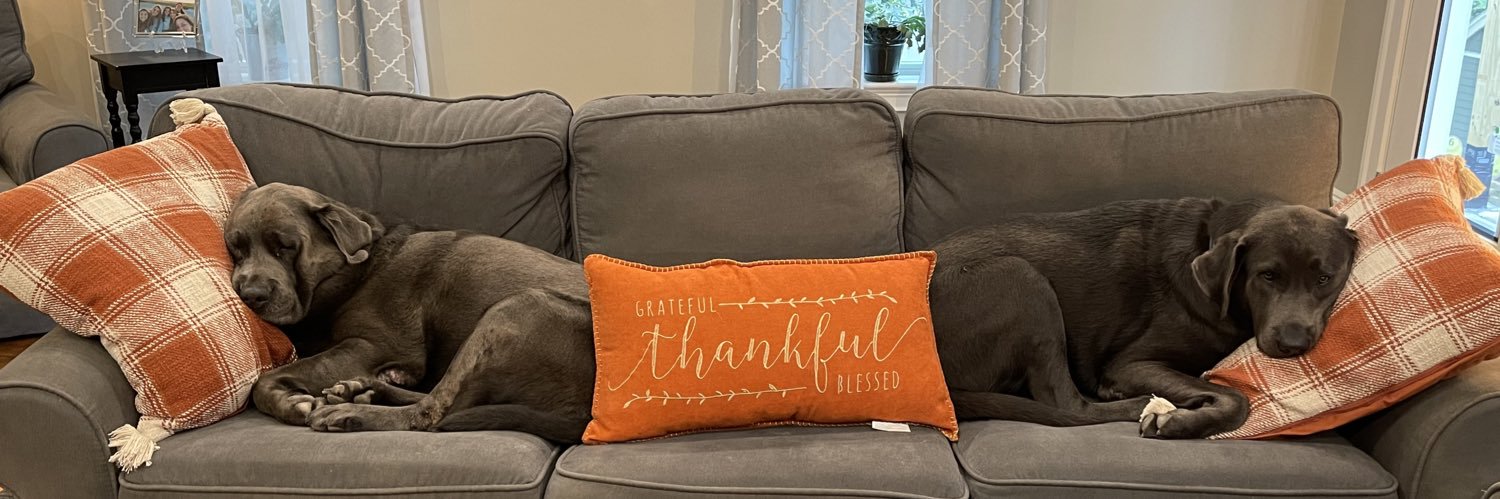 Maribeth Sgroi banner