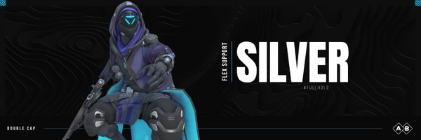 SilvertalsTPG Profile Banner