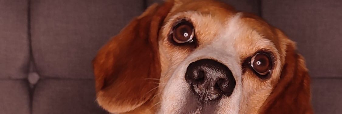 VaneCardenas2's profile banner image