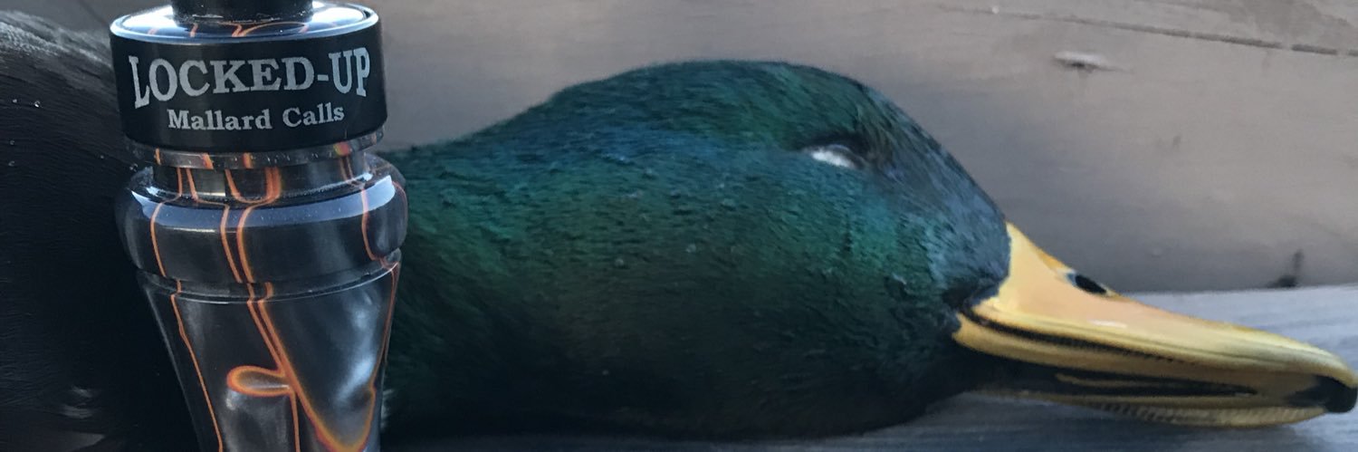 dillon_few's profile banner image
