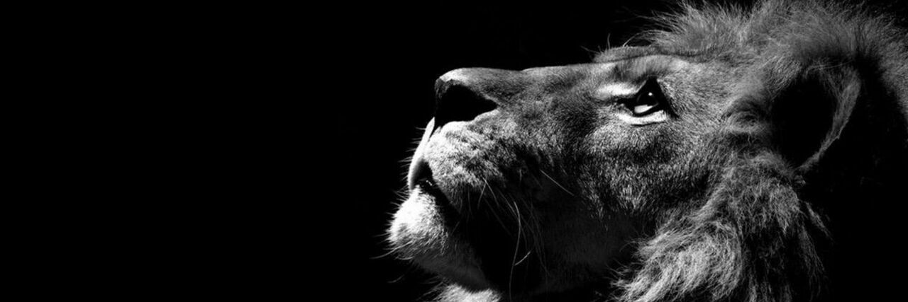 MatyCavs1998's profile banner image