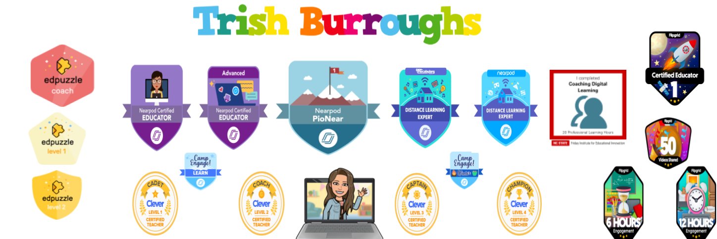 TrishBurroughs's profile banner image