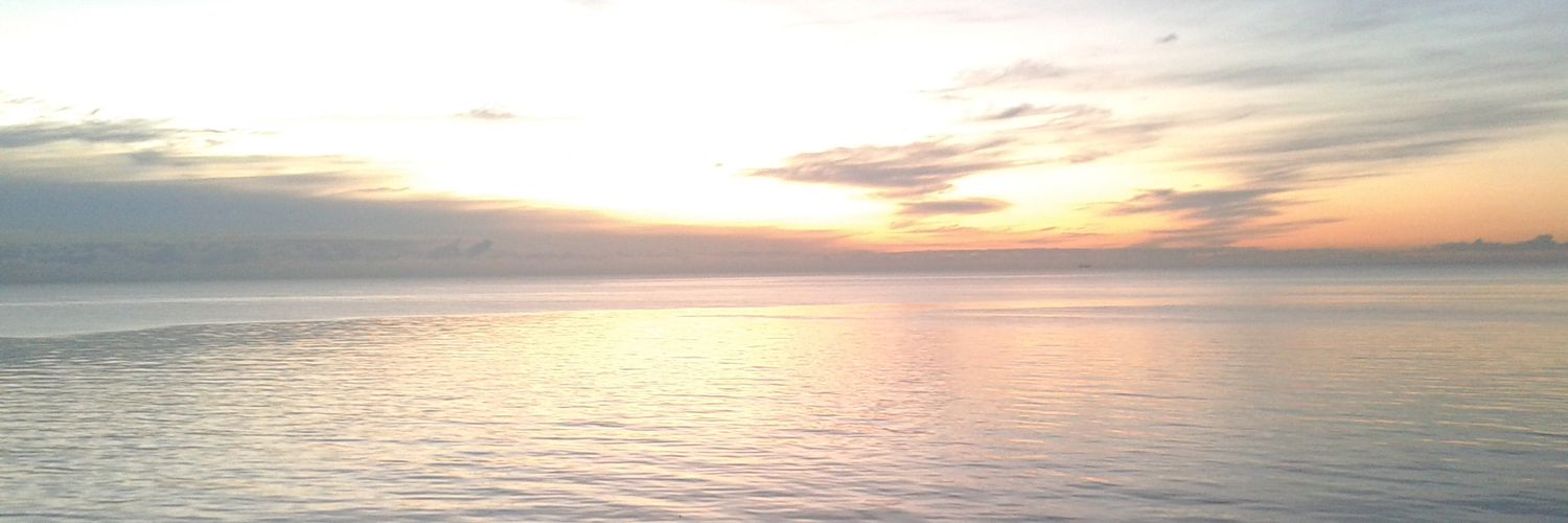 GabrielVice993's profile banner image