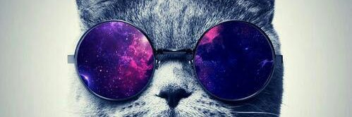 HarrisonAvella's profile banner image