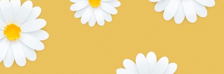nadyamichita's profile banner image