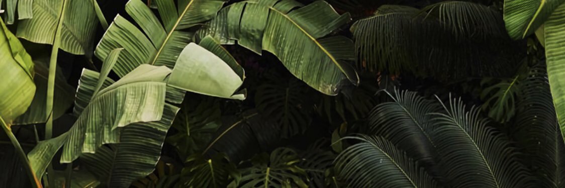 Neferziti's profile banner image