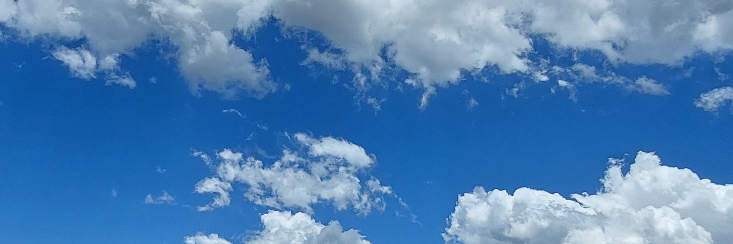 rapidash_'s profile banner image