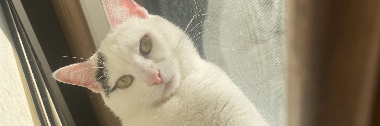 Mahdayoooo's profile banner image