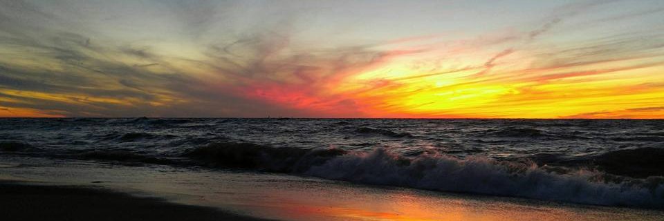 laurusrn's profile banner image