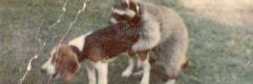 R3L1V3's profile banner image