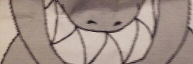 jamieshark63's profile banner image