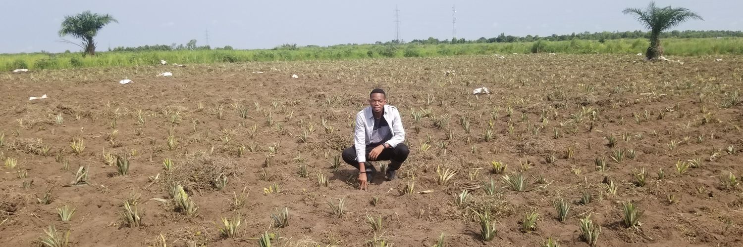mabele_farming's profile banner image