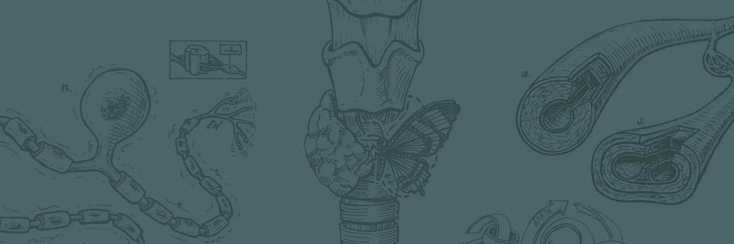 Eva Mae Baucom banner