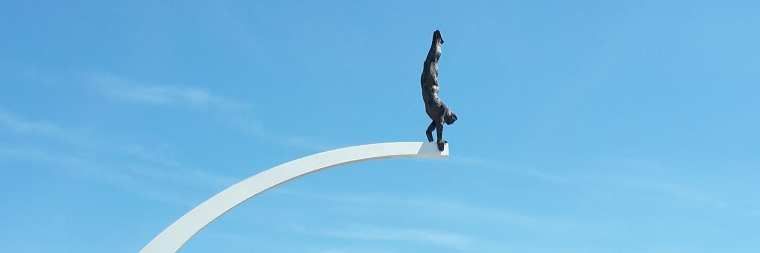 Alain Beernaert banner