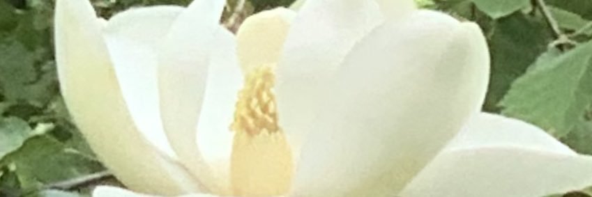 kkburritt's profile banner image