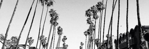 NoaRPGDLQ_'s profile banner image