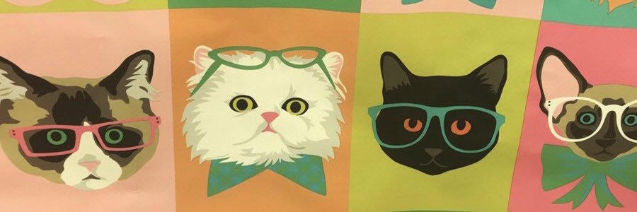 MichaelaMCutler's profile banner image