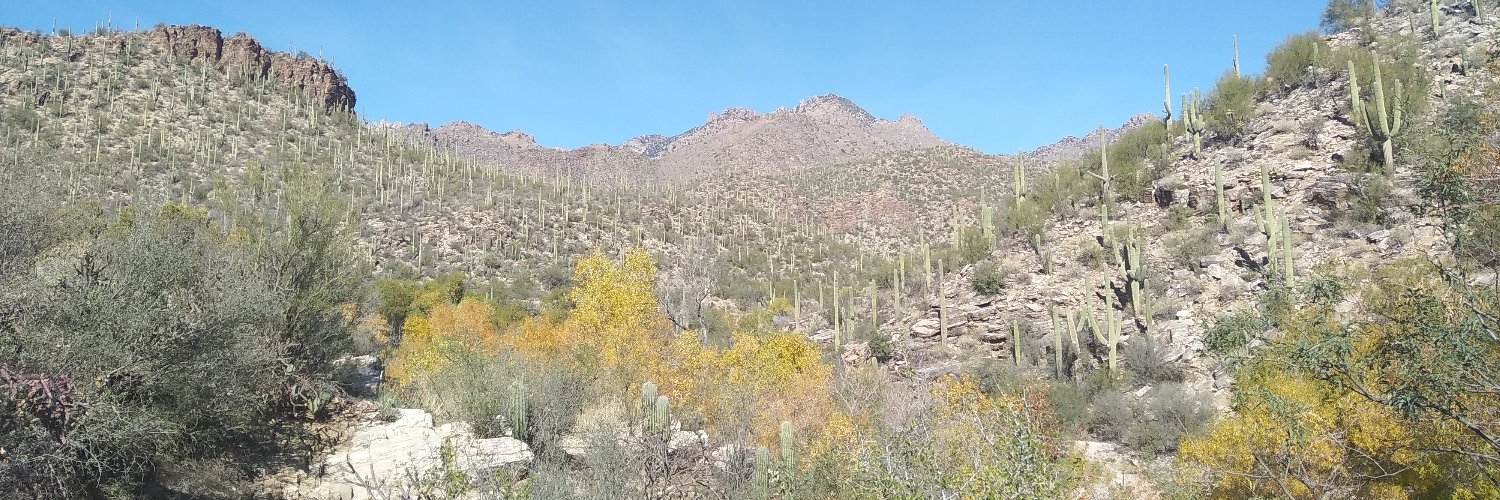 Diego Salazar-Tortosa banner