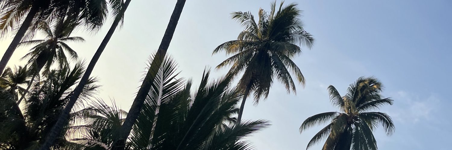 Seb10Le's profile banner image