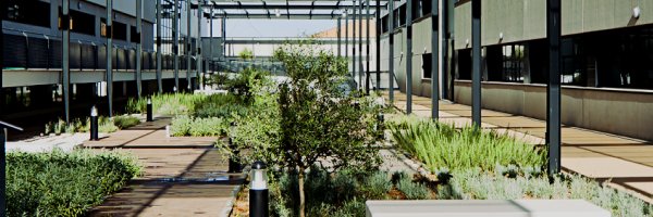 institutograsa Profile Banner