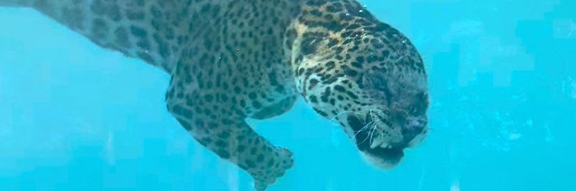 katiaduarte's profile banner image