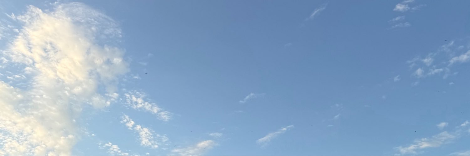 FelipeAFonseca's profile banner image