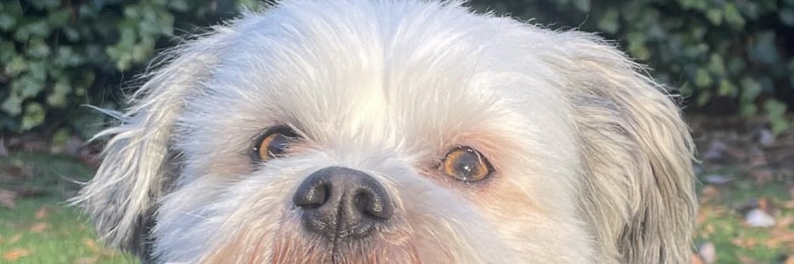DeboodtLaura's profile banner image