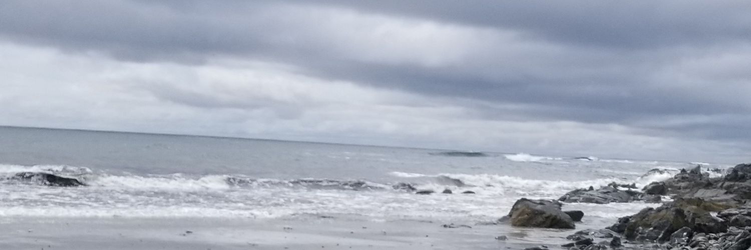 Erin Fischell, PhD banner