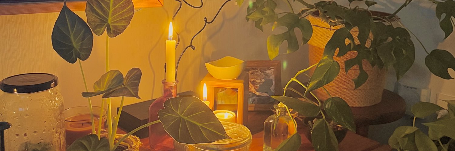 blblboune's profile banner image