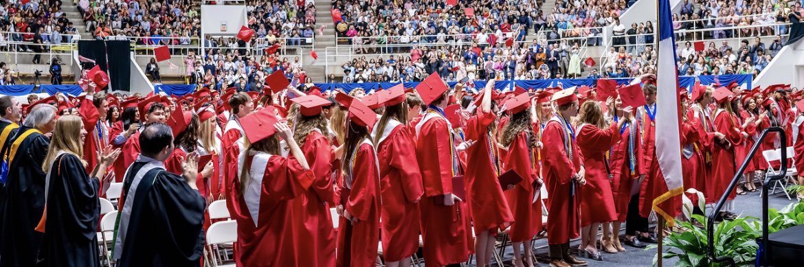 Alessandra Mercon banner