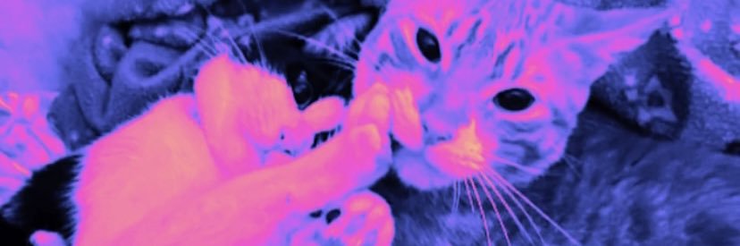 naathhhss's profile banner image